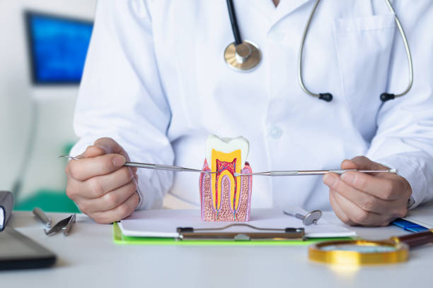 Best 24-Hour Emergency Dental Care in Lower Grand Lagoon, FL